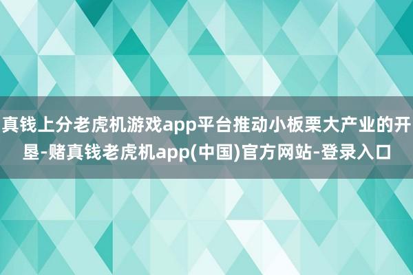 真钱上分老虎机游戏app平台推动小板栗大产业的开垦-赌真钱老虎机app(中国)官方网站-登录入口