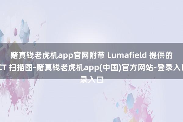 赌真钱老虎机app官网附带 Lumafield 提供的 CT 扫描图-赌真钱老虎机app(中国)官方网站-登录入口