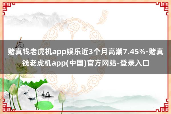 赌真钱老虎机app娱乐近3个月高潮7.45%-赌真钱老虎机app(中国)官方网站-登录入口