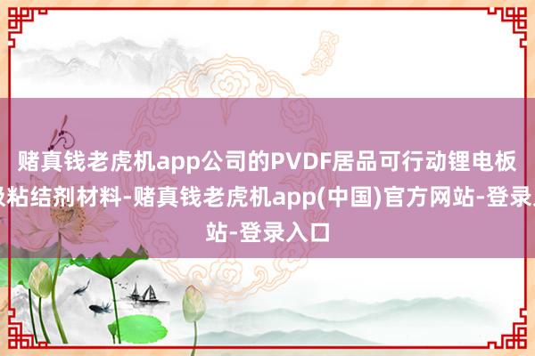 赌真钱老虎机app公司的PVDF居品可行动锂电板正极粘结剂材料-赌真钱老虎机app(中国)官方网站-登录入口