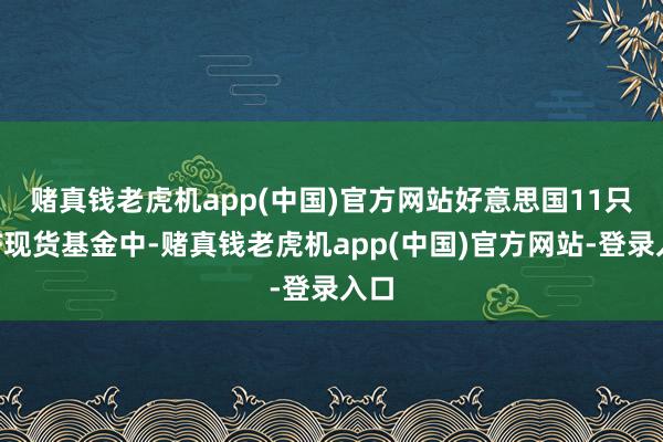 赌真钱老虎机app(中国)官方网站　　好意思国11只ETF现货基金中-赌真钱老虎机app(中国)官方网站-登录入口