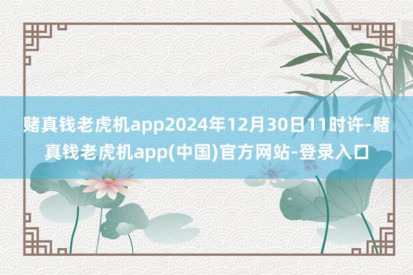 赌真钱老虎机app2024年12月30日11时许-赌真钱老虎机app(中国)官方网站-登录入口