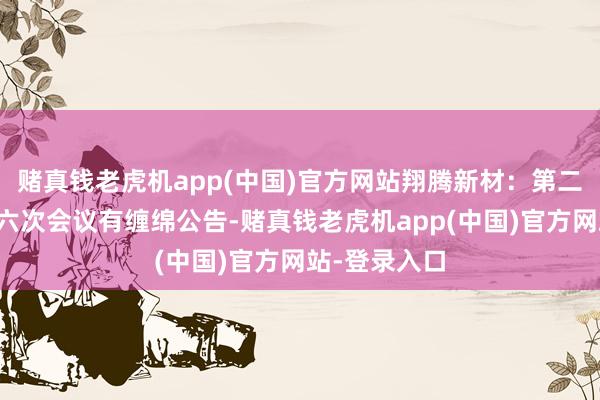 赌真钱老虎机app(中国)官方网站翔腾新材：第二届监事会第六次会议有缠绵公告-赌真钱老虎机app(中国)官方网站-登录入口