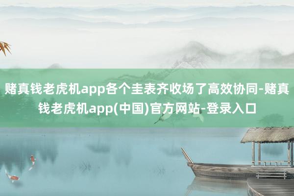 赌真钱老虎机app各个圭表齐收场了高效协同-赌真钱老虎机app(中国)官方网站-登录入口